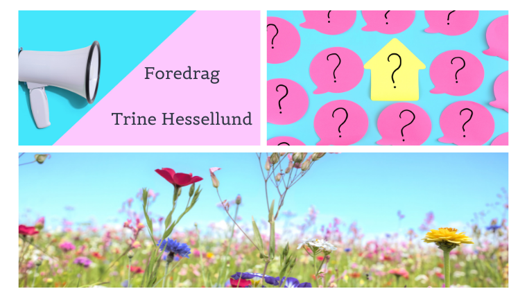 Vffaspottrineforedrag (760 X 430 Px)